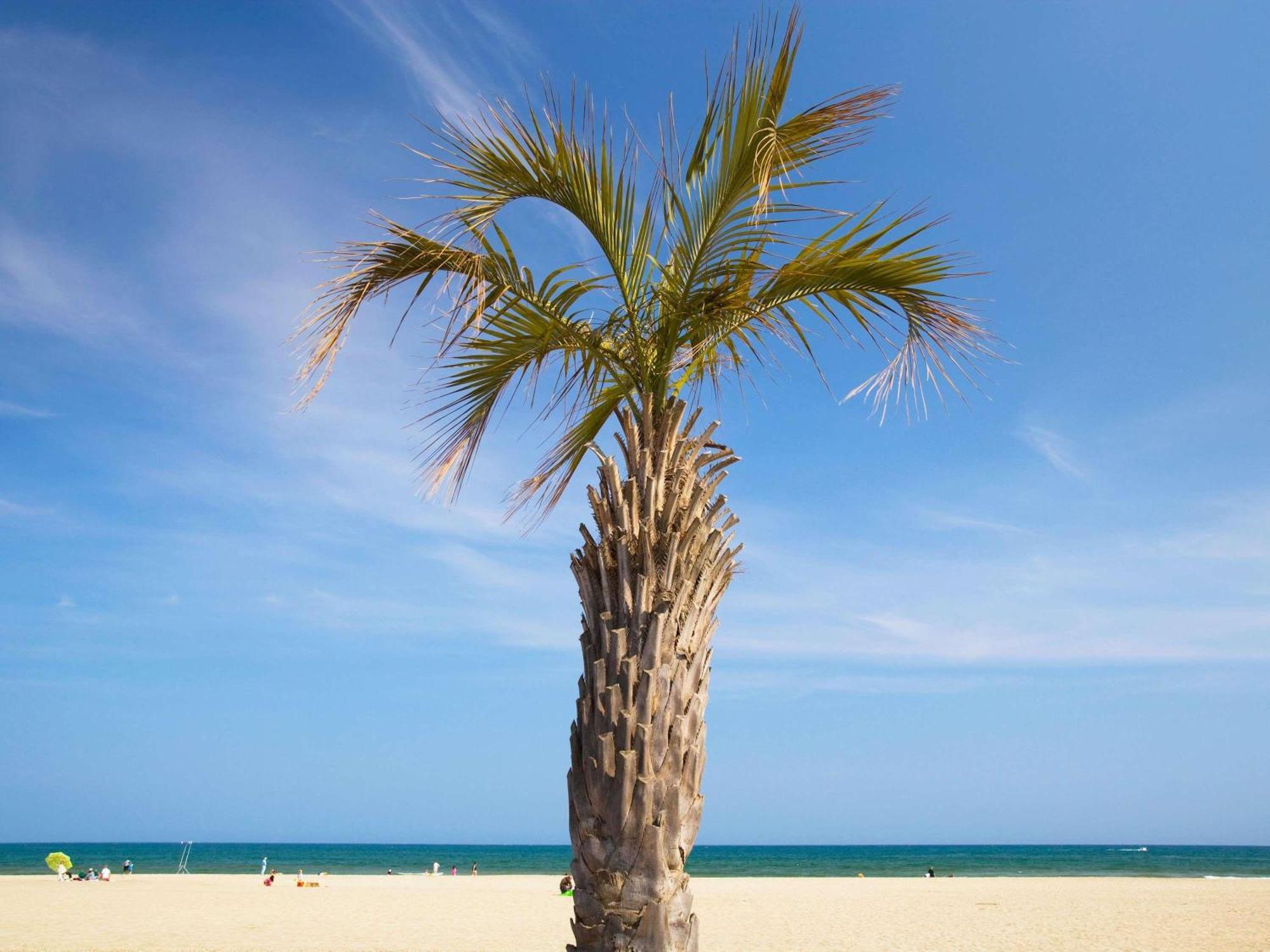 Hotelf1 Perpignan Sud エクステリア 写真